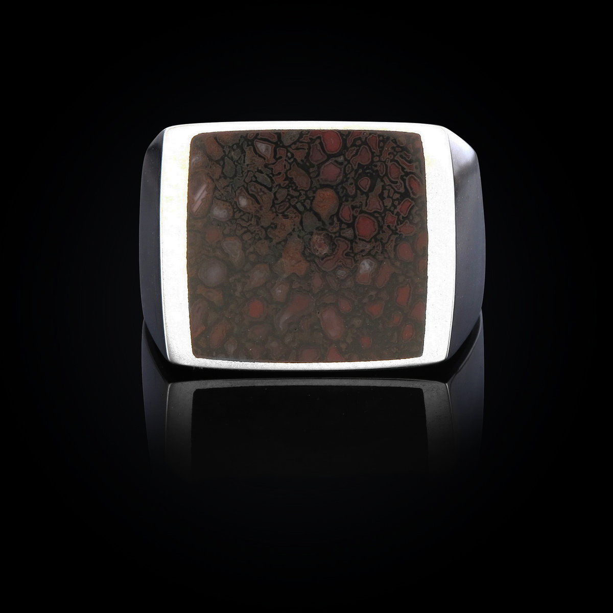 DINOSAUR BONE: SIGNET RING